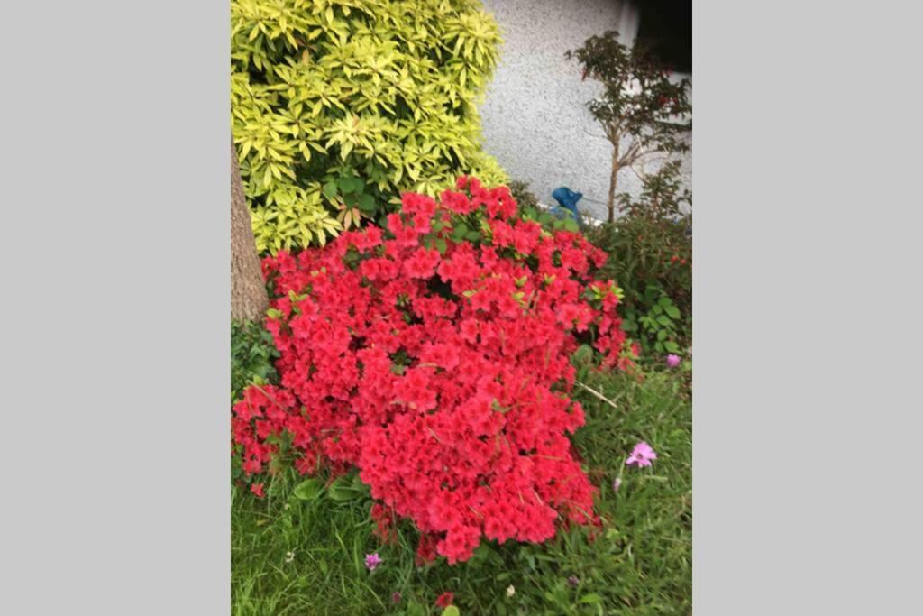 Lovely 3 Bed House Close To Carlyon Bay Beach! Esterno foto